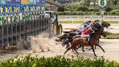 [경마] 20~22일 설 연휴 경마 휴장… 27일 경마 재개