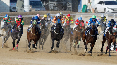 ‘막판 폭발’ 스피드영, 세계일보배 대상경주 우승 질주 [한강로 사진관]