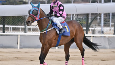 ‘렛츠런파크 서울 지배했다’ 로쉬, 제39회 스포츠서울배서 12마신 차 압도적 우승…박재용 마주·성상현 조교사 첫 대상경주 제패 [SS현장]