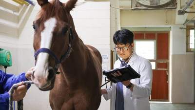 “말과 사는 남자”…한국마사회 ‘말 수의사’, 전국에 고작 60명뿐이라고?