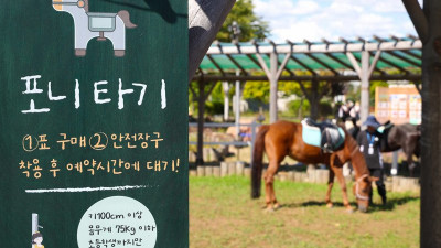 “이번 주말은 말과 함께 산책해요”
