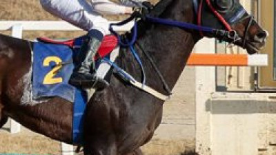 “장거리 왕좌 차지하라”…스테이어 시리즈 첫 관문 개막