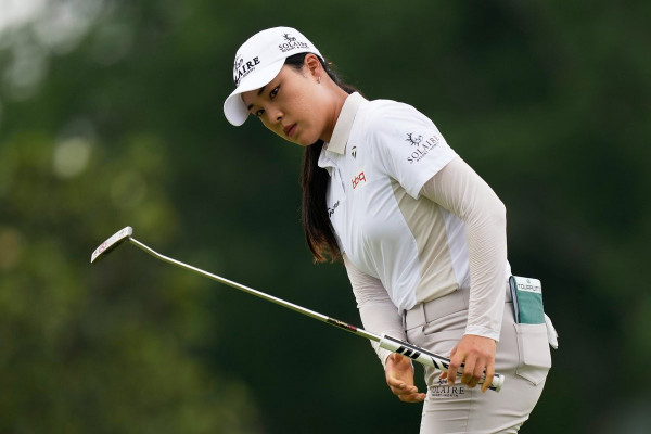 17775361946547.jpg