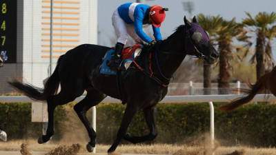 국내 최강 3세마 가린다…1관문 제패 퍼니와일드, 2관문도 조준