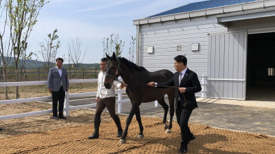 구조마 ‘리비’의 재기… 한국마사회, 학대·방치마 긴급구호로 말복지 선순환 구조 구축