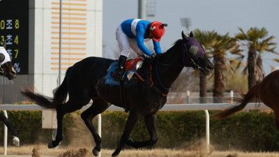 제29회 코리안더비 열린다…경주마 일생 단 한번의 영광 주인공은?