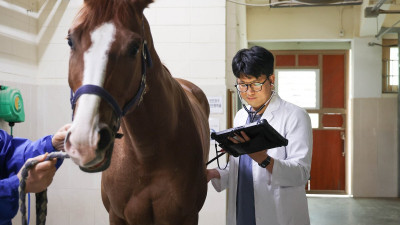 경주마 안전 지키는 숨은 주역… ‘말사남’ 한국마사회 말수의사